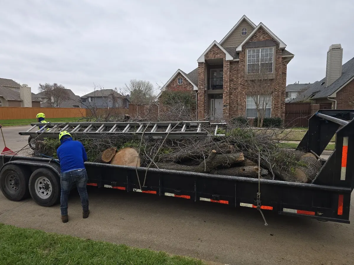 Expert Tree Removal with proper safety equipment in Benezett